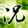 天眼查